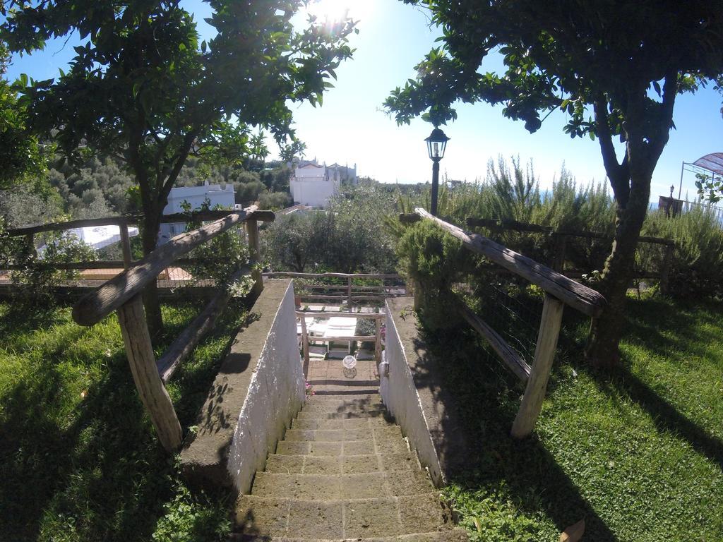 Villa Carolina Sorrento Private Heated Pool And Sea View Bagian luar foto